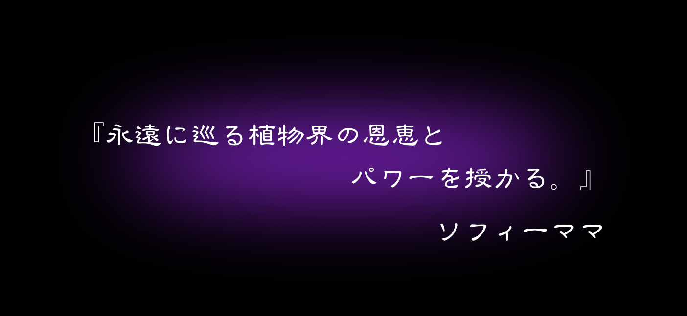 『永遠に巡る植物界の恩恵と　パワーを授かる』　ソフィーママ